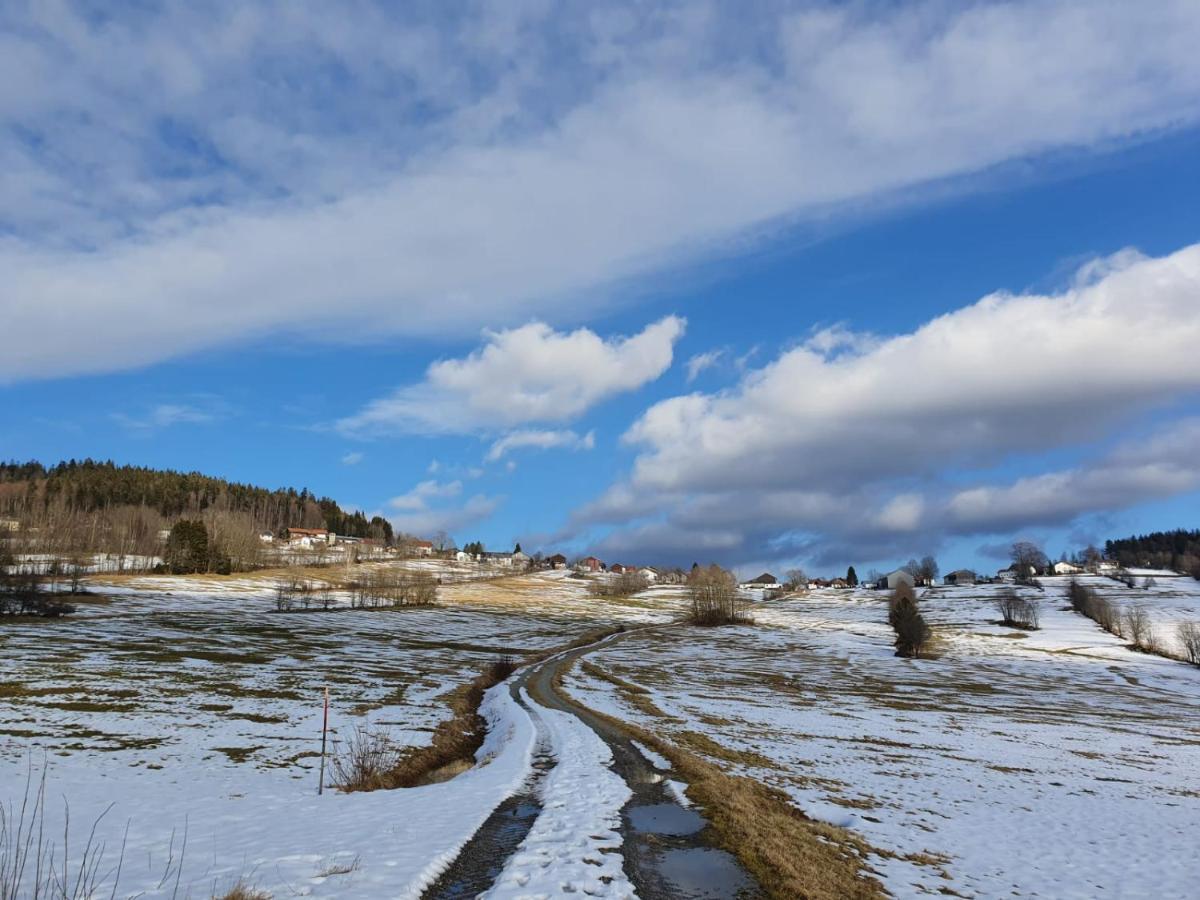 Haus Bergblick Διαμέρισμα Mauth Εξωτερικό φωτογραφία